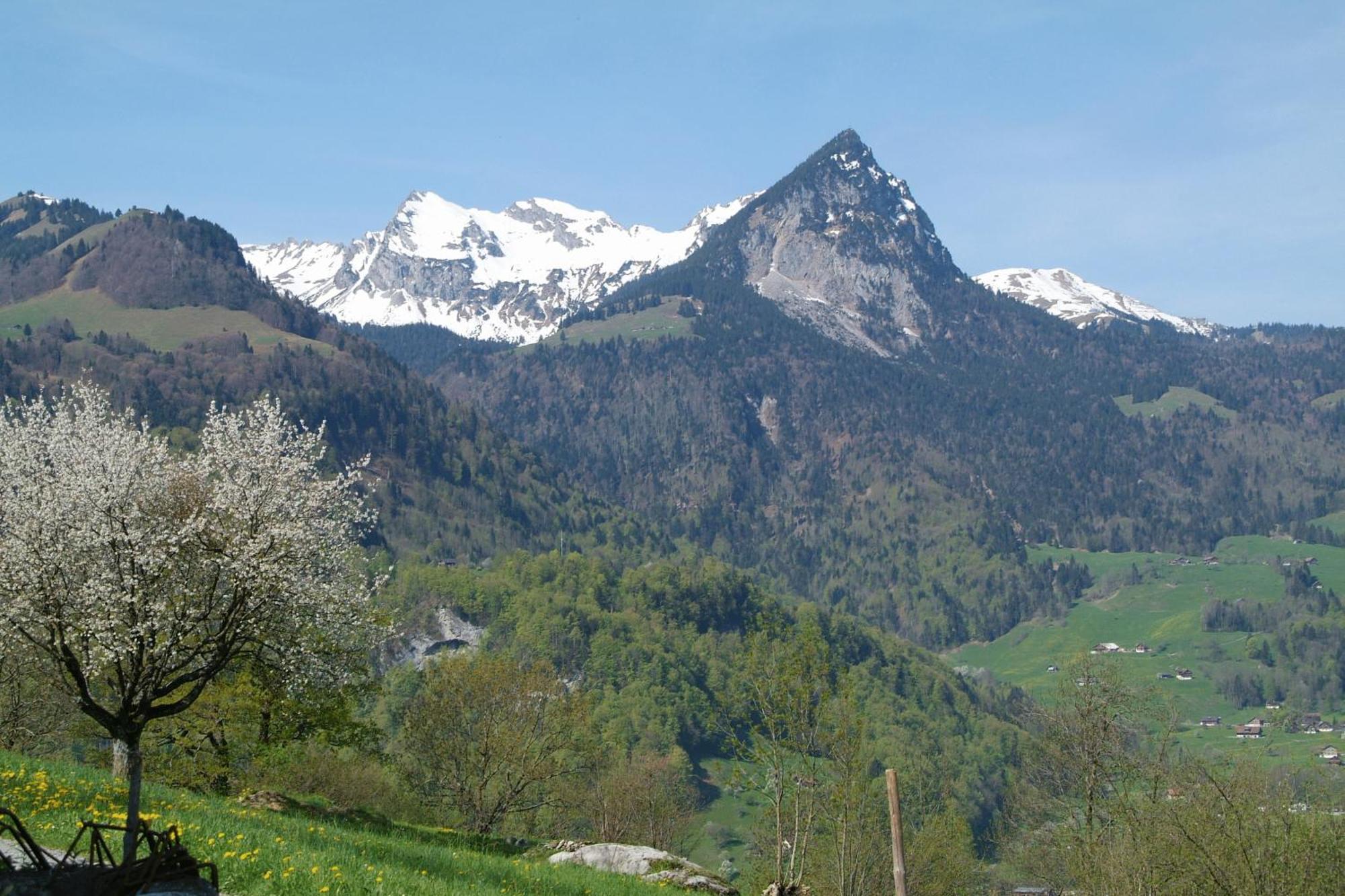 Landgasthof Grossteil Giswil Εξωτερικό φωτογραφία