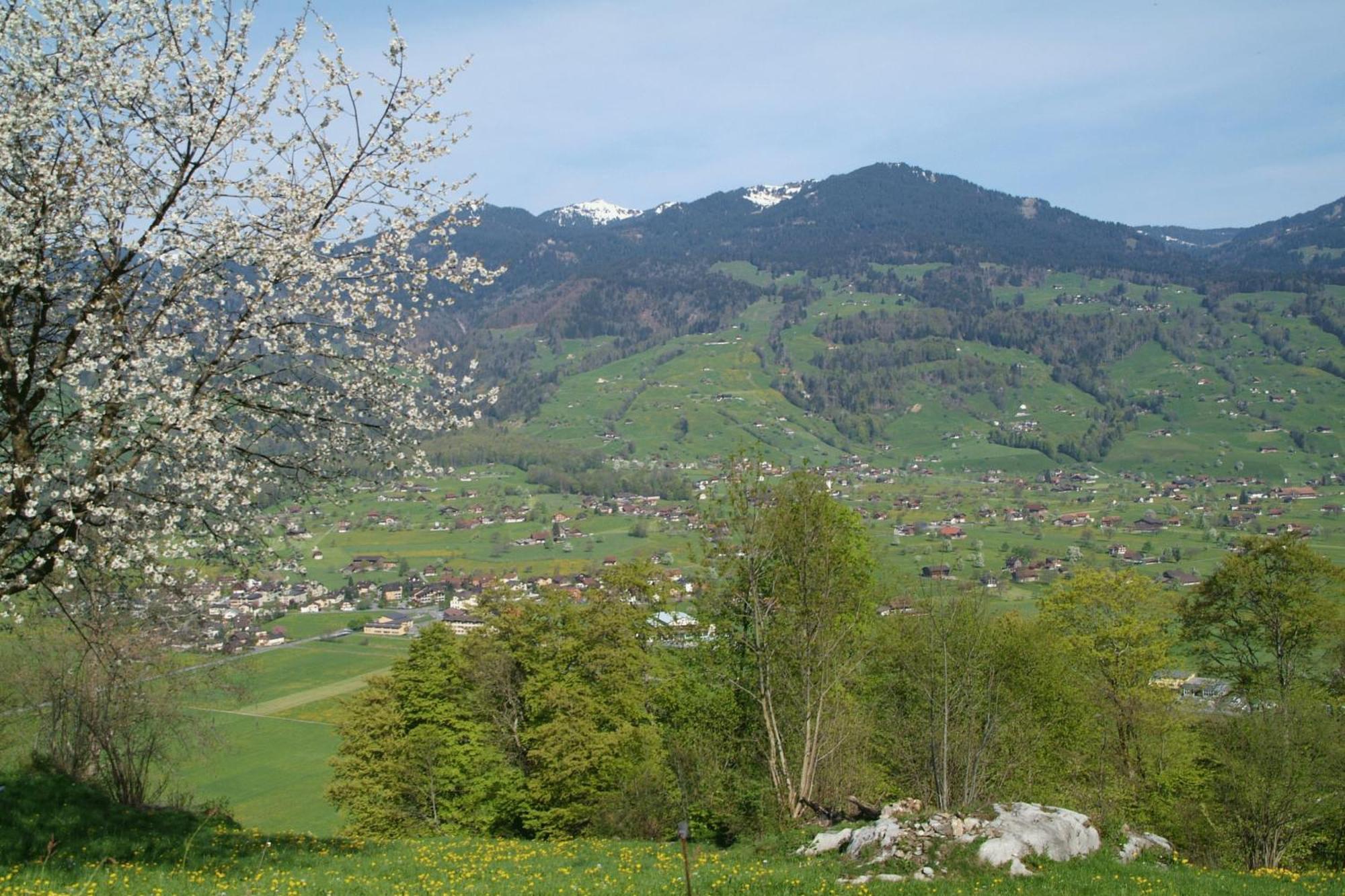 Landgasthof Grossteil Giswil Εξωτερικό φωτογραφία