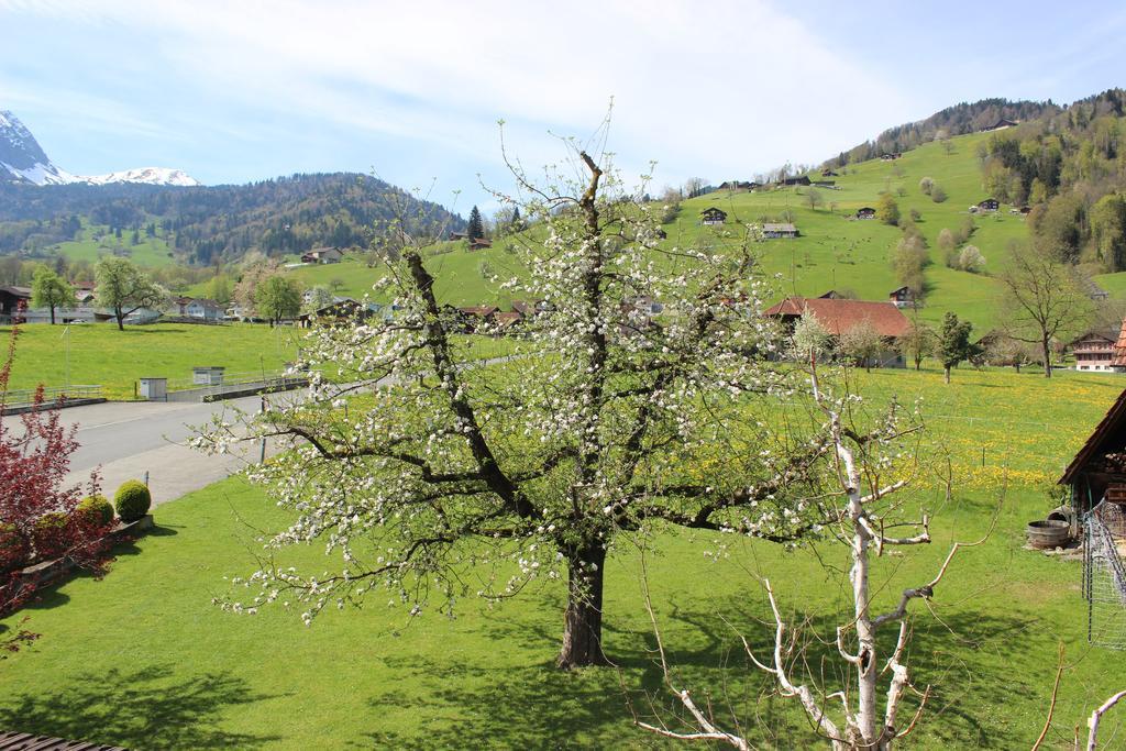 Landgasthof Grossteil Giswil Εξωτερικό φωτογραφία