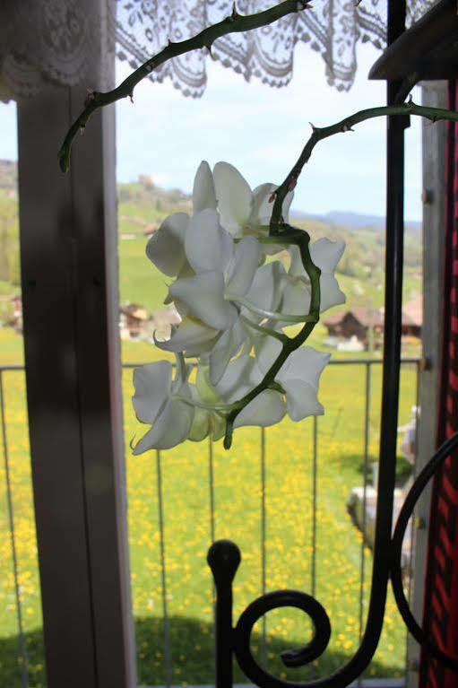 Landgasthof Grossteil Giswil Εξωτερικό φωτογραφία